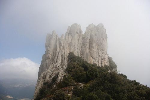 Les dentelles de Montmirail  (Vaucluse)