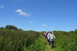 La balade du 11 juin à la pointe du Siège