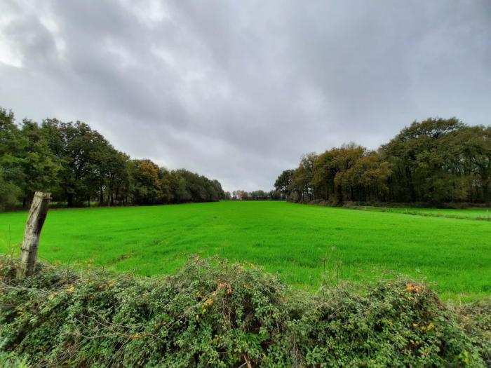Département de la Vendée