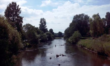 Leverkusen hautnah: Von der Diepentalsperre über den Murbach und die Wupper bis nach Opladen