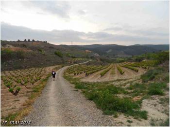 (J43) Viana / Los Arcos 17 mai 2012 (1)