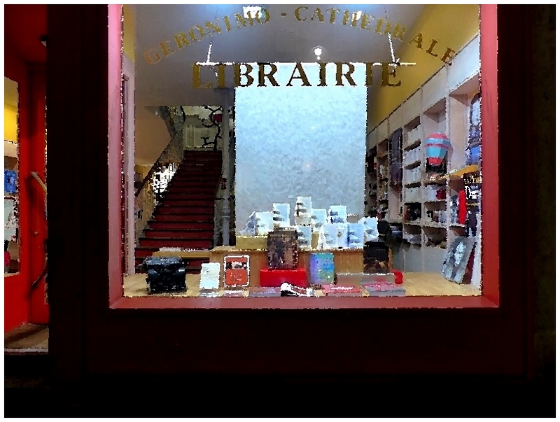 Metz / Glacial 21 janvier 2015...