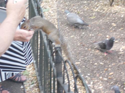  * St James's Park
