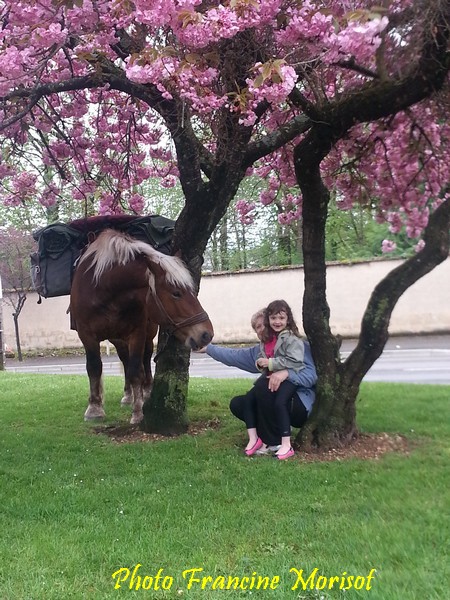 Un voyageur et son cheval...