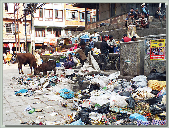 Blog de images-du-pays-des-ours : Images du Pays des Ours (et d'ailleurs ...), Dans le quartier de Thamel le meilleur côtoie le pire - Katmandou - Népal