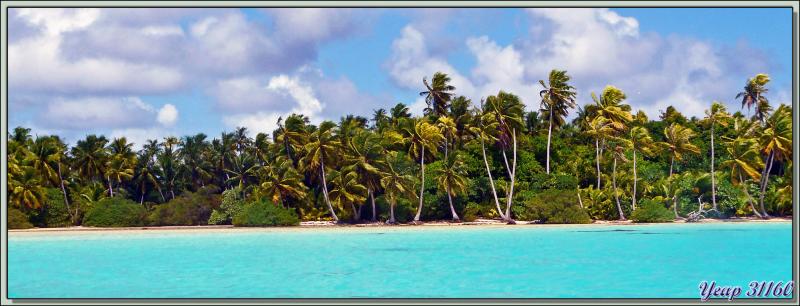 Un bijou : de l'émeraude et de la turquoise réunies - Lagon Bleu - Atoll de Rangiroa - Tuamotu - Polynésie française