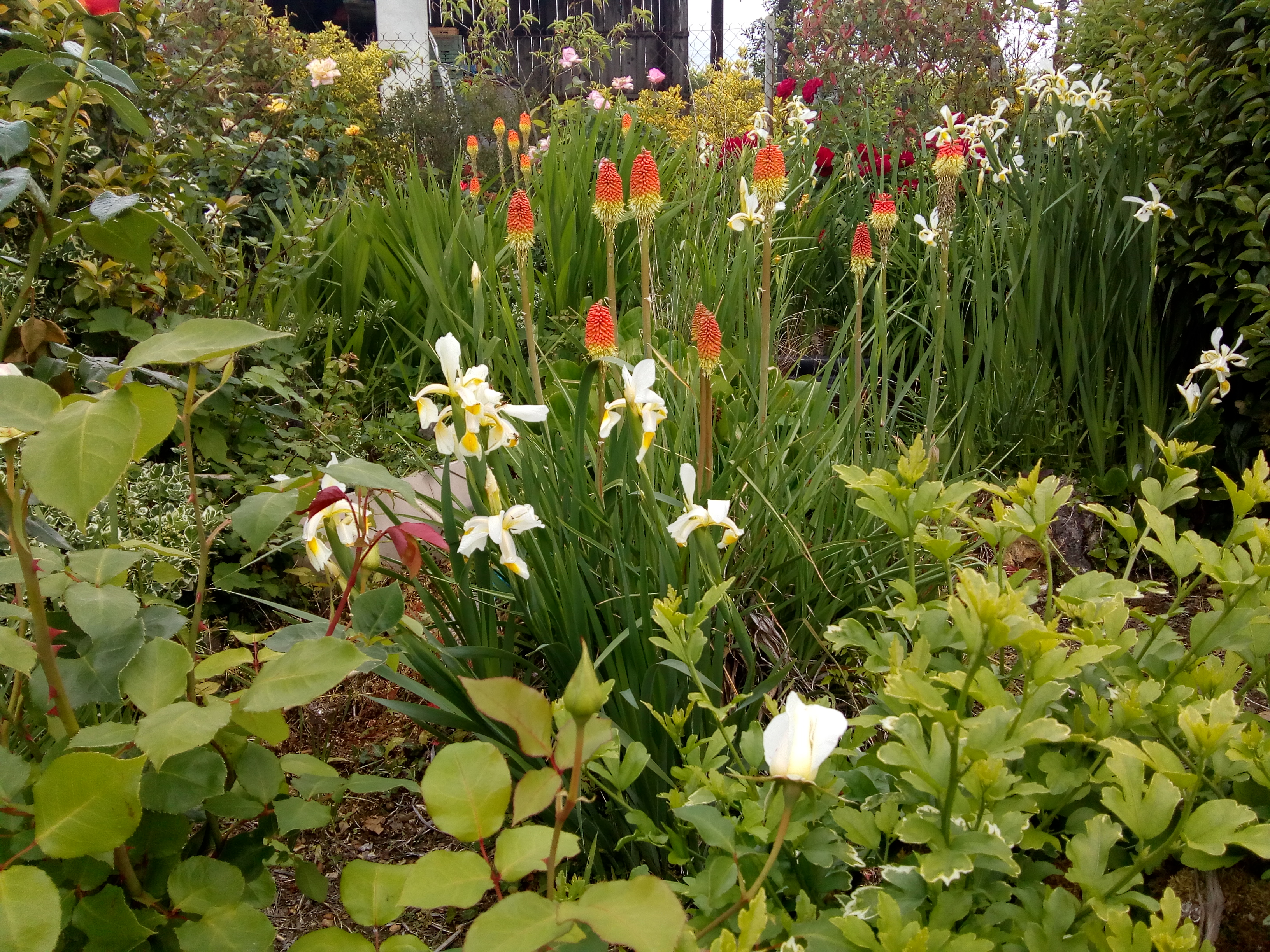 Le Jardin De Jean Marie Le Jardin De Jean Marie