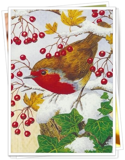 le rouge gorge 