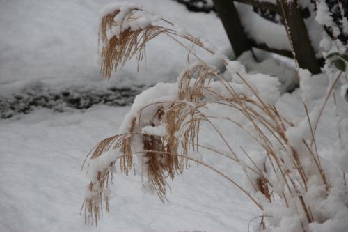 Neige 14 février 2018