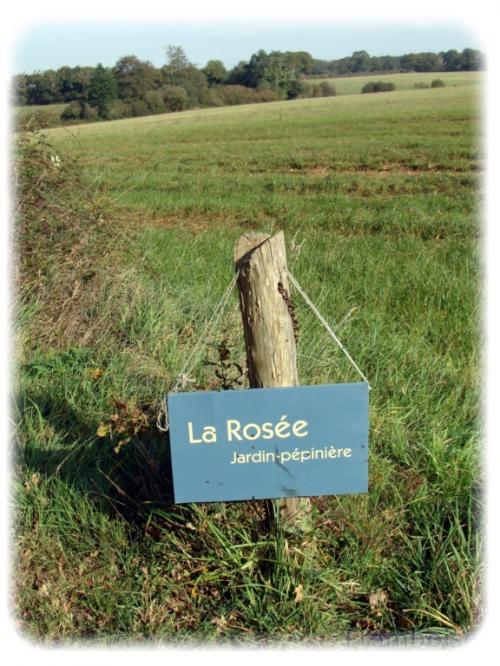 Pépinière La Rosée  La Malnoë