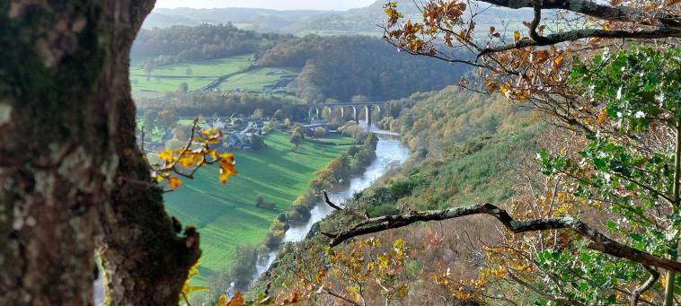 La randonnée du 13 novembre "TSN" de Thury-Harcourt au Vey