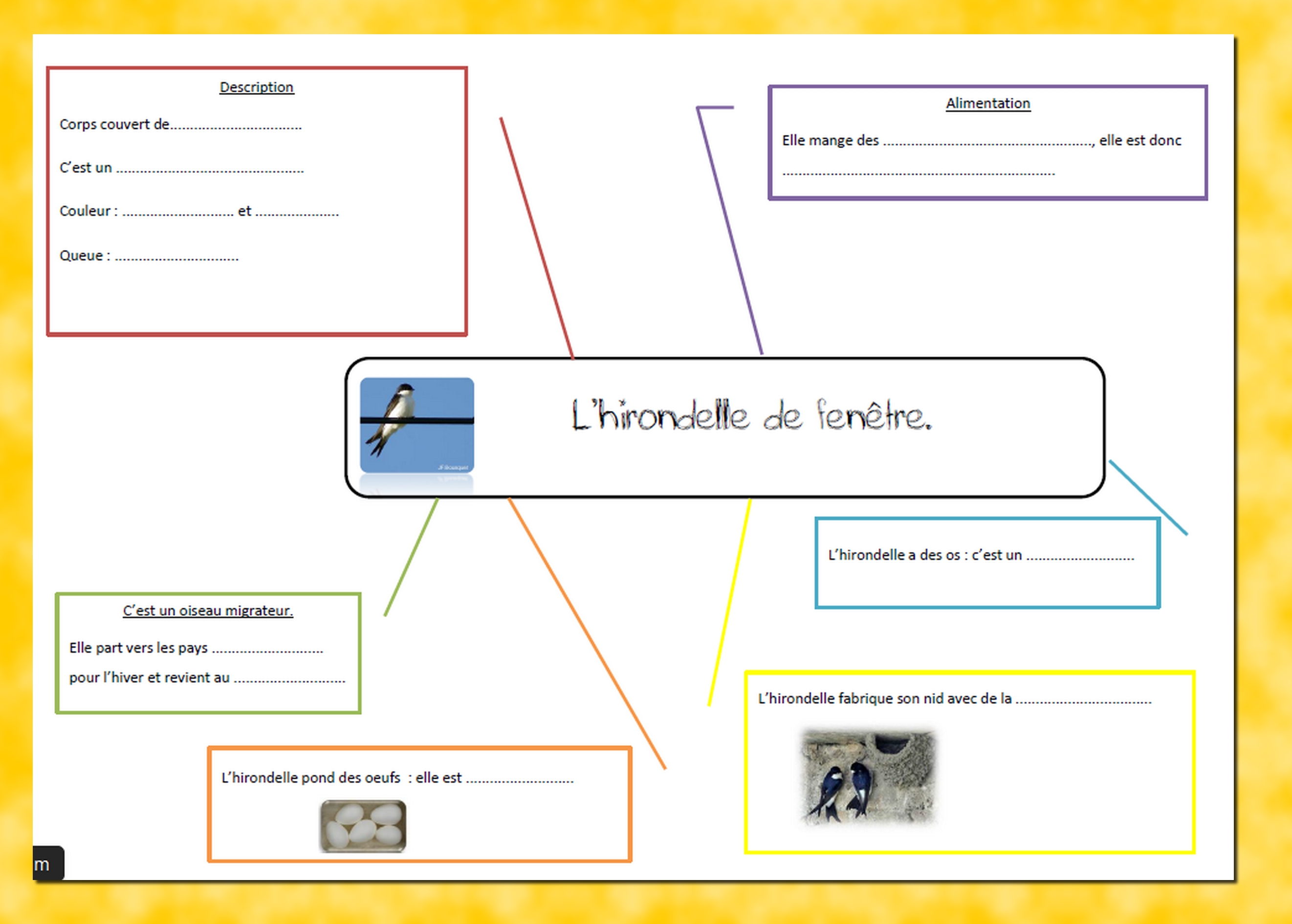 presentation hirondelle carte