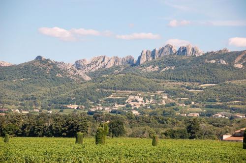 Les dentelles de Montmirail  (Vaucluse)