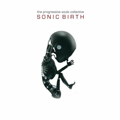 THE PROGRESSIVE SOULS COLLECTIVE (avec des membres ou ex-membres de DREAM THEATER, ANGRA et HAKEN) - Les détails du premier album Sonic Birth