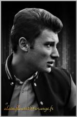 Fond ecran johnny hallyday006