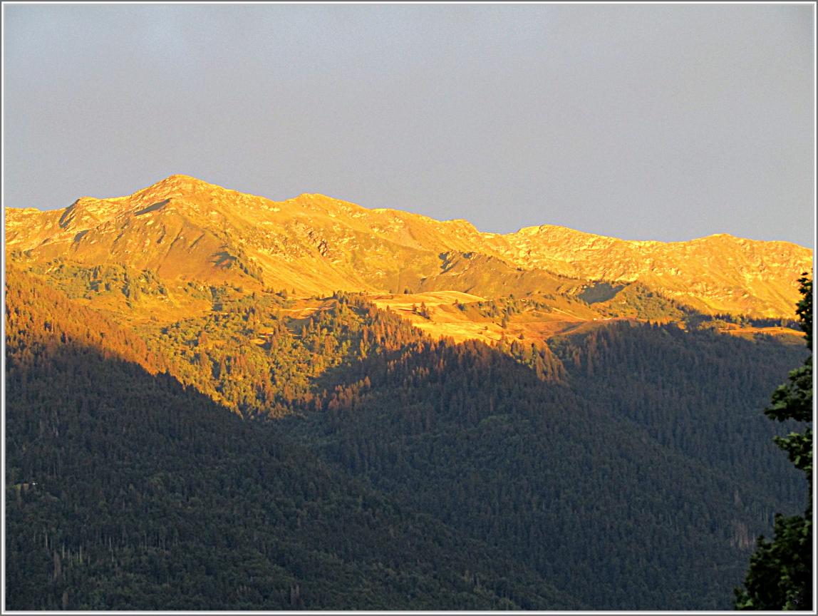 CHEZ NOUS AUSSI IL Y A DU BEAU A VOIR 
