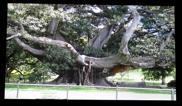 "L'aventure australienne" en projections au cinéma Vox de Laignes