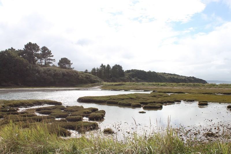 773 - Visite de la Mayenne au Finistère !