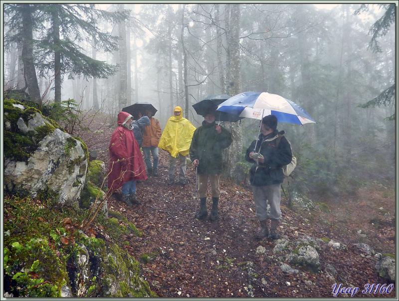 Pluie et brouillard: notre lot quotidien - Saint-Agnan-en-Vercors - 38