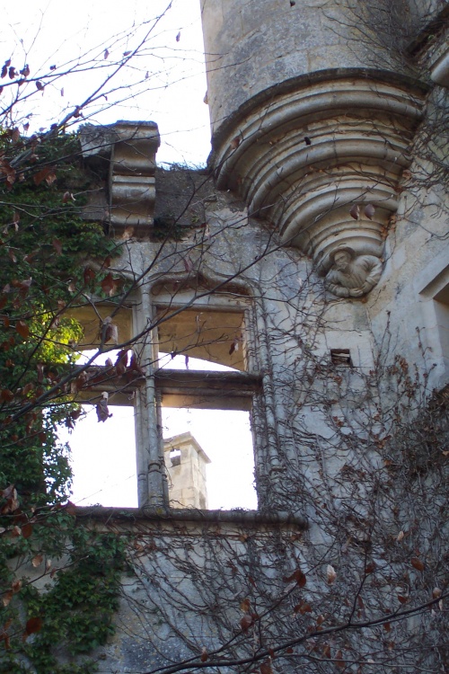 Le château de Rochefort, à Asnières en Montagne..