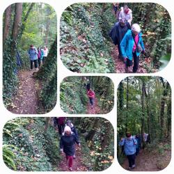 La balade du 15 octobre à Bretteville-sur-Odon