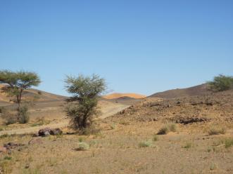 Depuis Merzouga