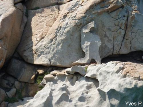 La page de Yves P.‏