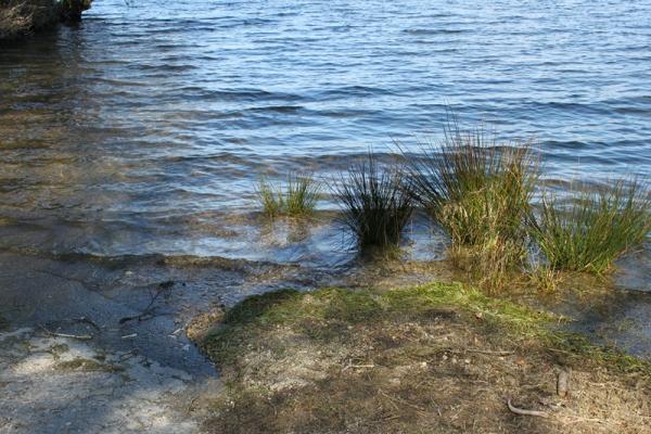 Lac du Drennec 016
