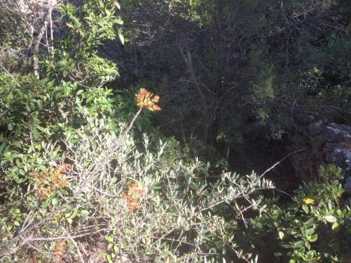 Grande ruine du Vallon aveugle à Aix