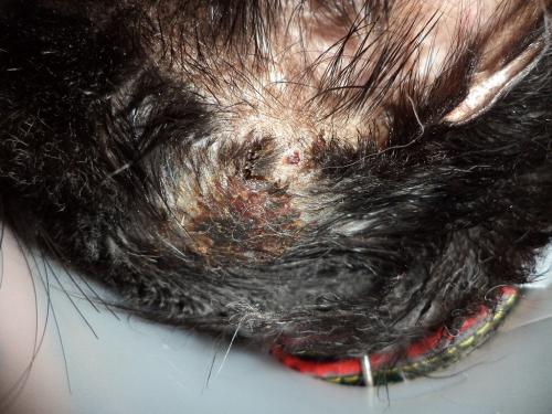 Rhaaaa! Je suis fatiguée!