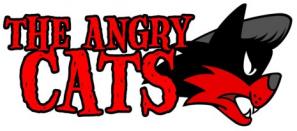 The Angry Cats - En attendant l'album...