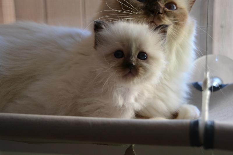 Moment privilégié !