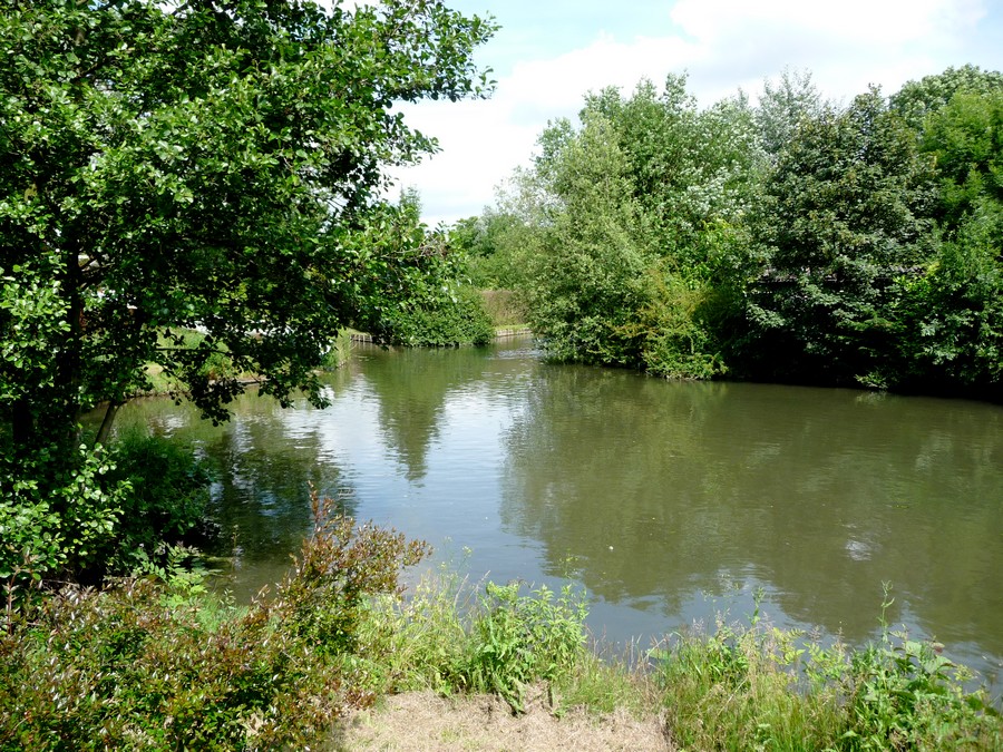 Hortillonnages d'Amiens 