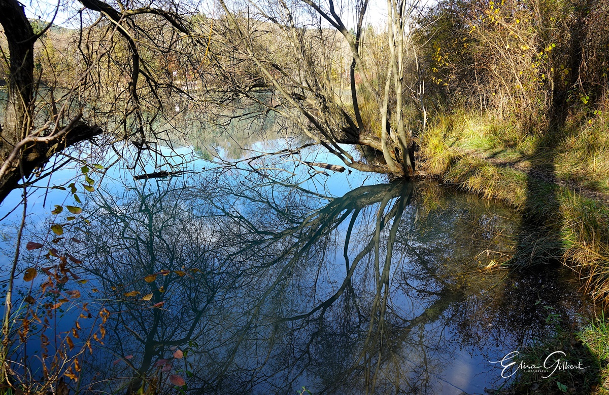 Le lac de Gaubert