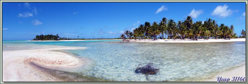 Vue panoramique sur le motu Fatonu et son voisin - Atoll Tikehau - Tuamotu - Polynésie française