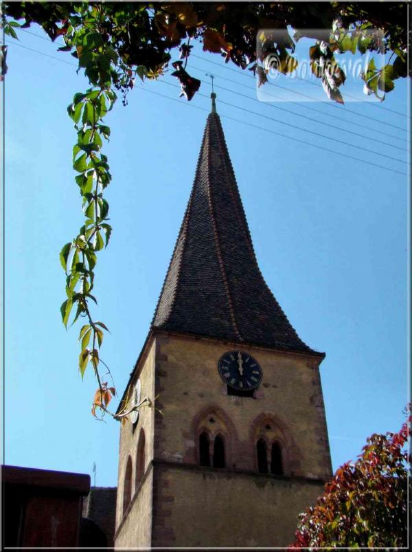 Alsace route des vins de Colmar à Ribeauvillé Niedermorschwihr église Saint Gall clocher torse