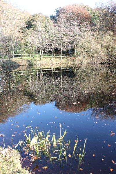 jardin à St Urbain 010