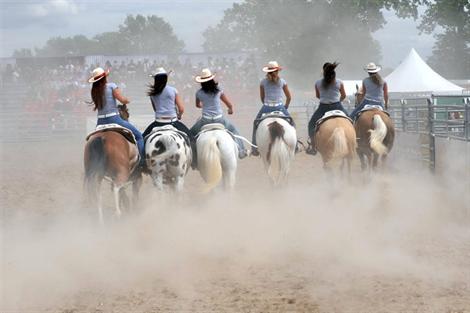 La semaine dernière avec mes puces (fin)