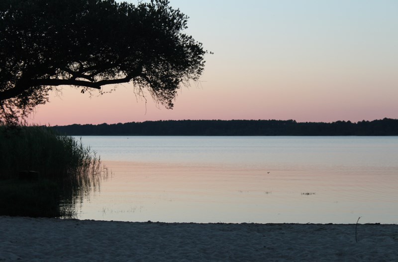 811 - Arrêt sur images au Lac de Cazaux-Sanguinet (40)