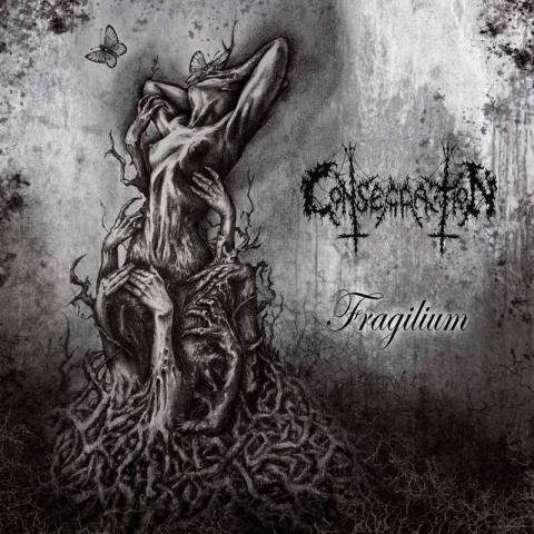 CONSECRATION - Détails et extrait du nouvel album Fragilium