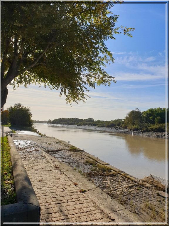 959 - Vers le Tarn et Garonne, entre Tonnay-Charente (17) et Lussac (33).