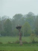 La randonnée du 6 mai à Bavent