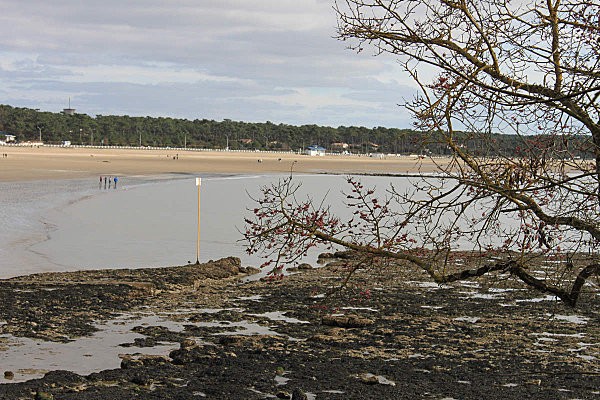 balade à st georges de didonne 4