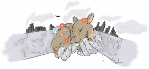 • Nature et pollution : message