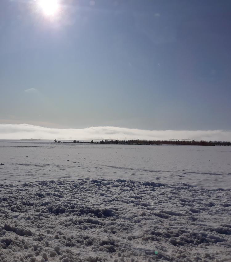 La première neige..