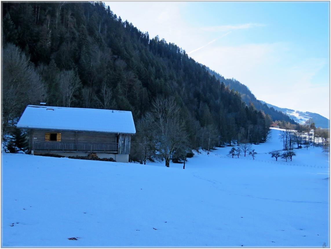 UNE SORTI EN MONTAGNE 2023