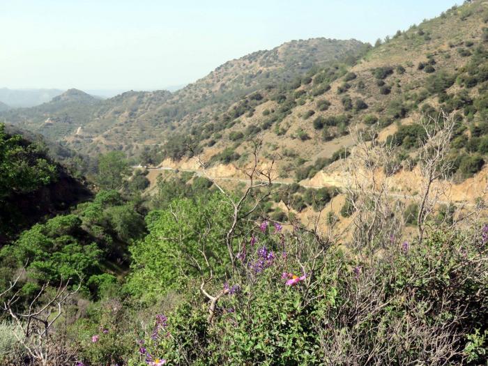 Chypre dans l'Europe