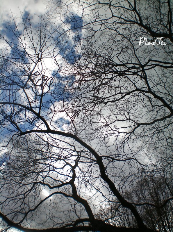Image010.jpg