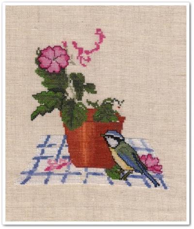 Primrose Pot - 6