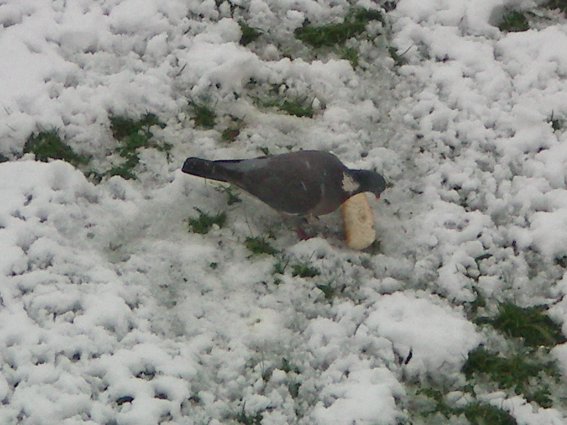 image48.jpg
